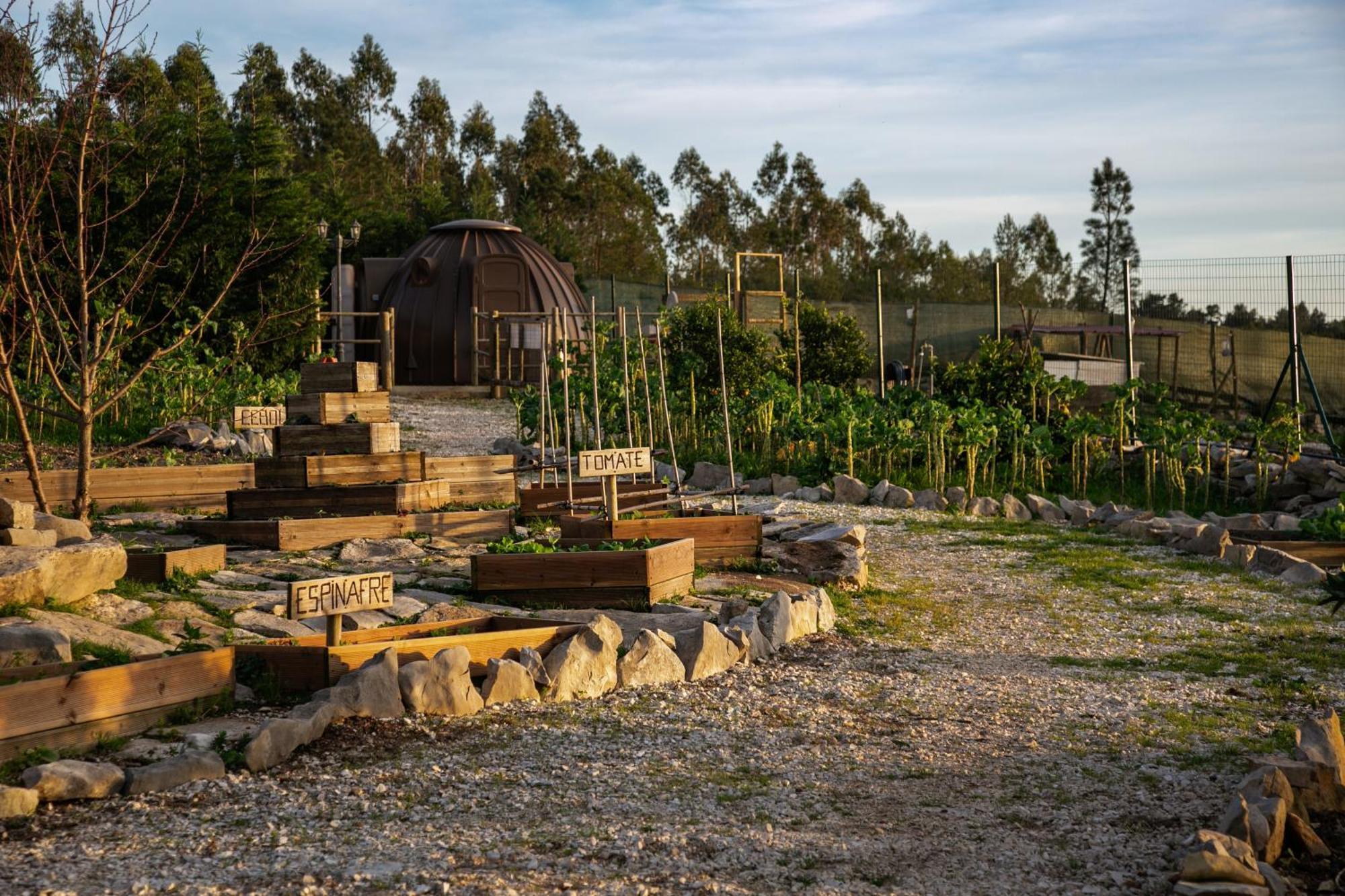 Turquel Casas Da Gralha Bed & Breakfast エクステリア 写真